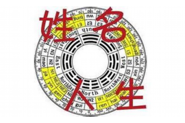 自媒体作者的角色设定与起名字的技巧
